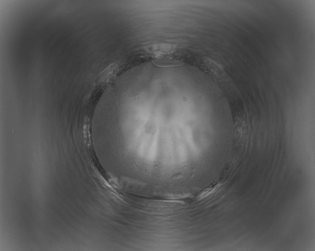 X0000054440527200507291321
