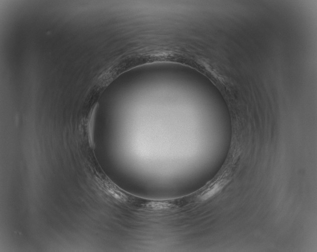 X0000054440528200507291321