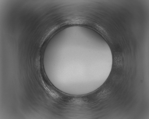 X0000054440534200507291320