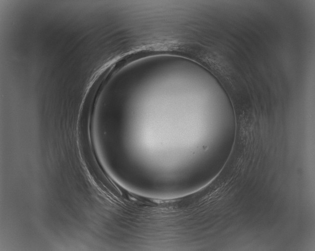 X0000054440536200507291320
