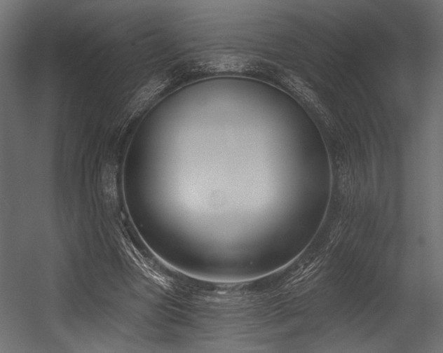 X0000054440537200507291320