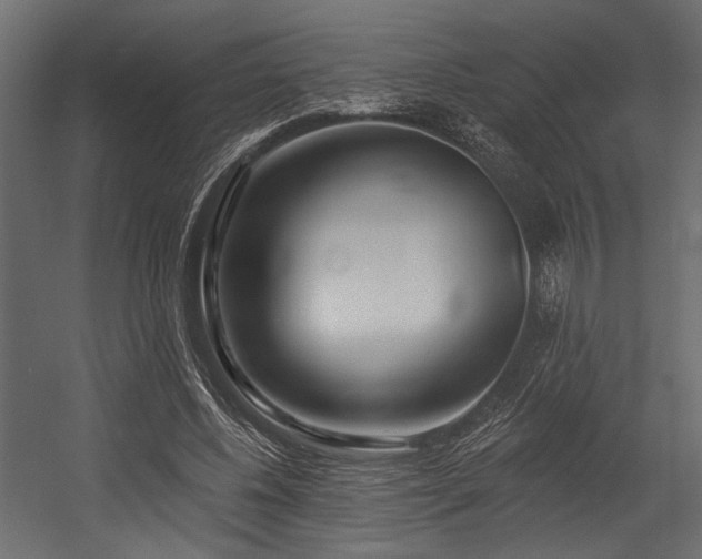X0000054440540200507291320