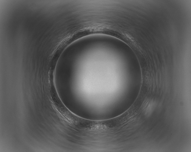 X0000054440543200507291320