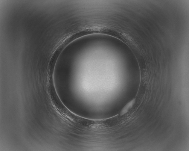 X0000054440544200507291320