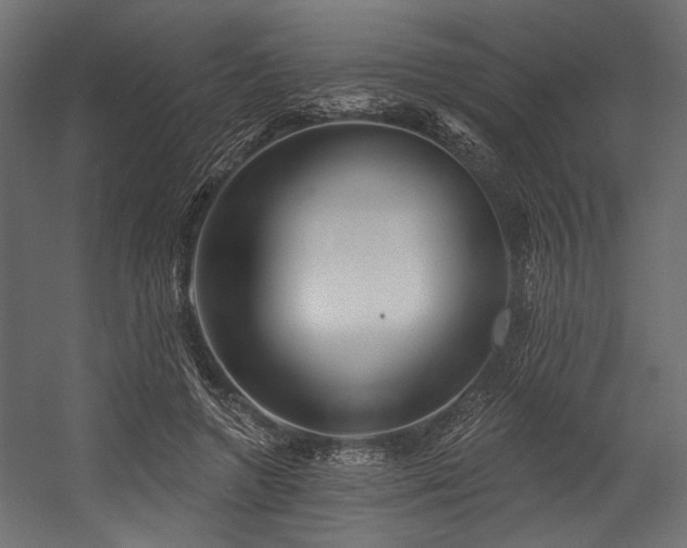 X0000054440546200507291320