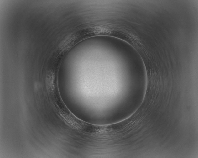 X0000054440550200507291320