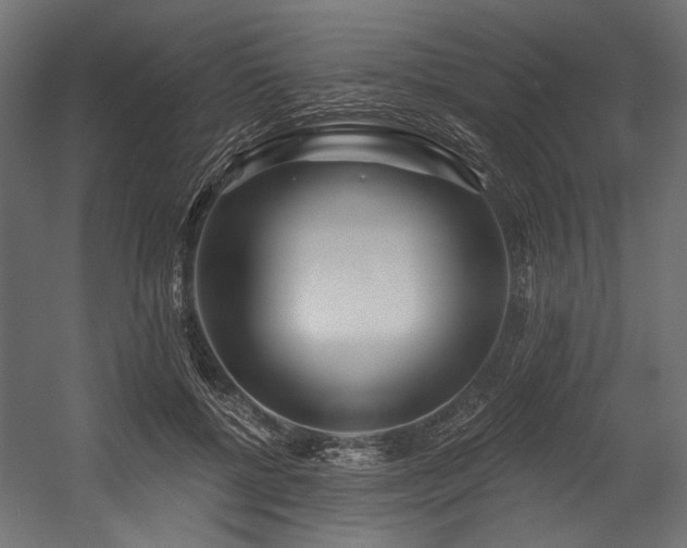 X0000054440552200507291320