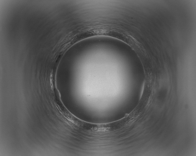 X0000054440553200507291320