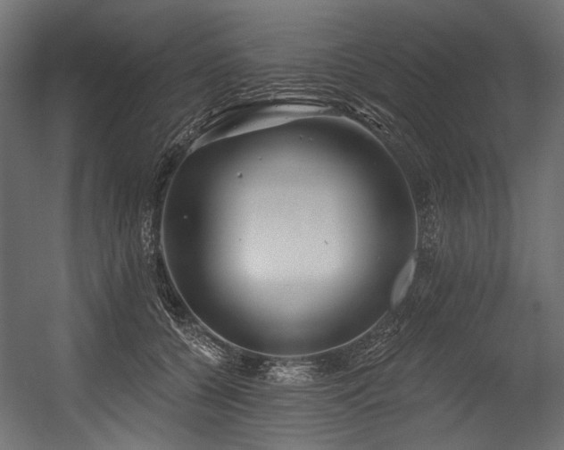 X0000054440560200507291320