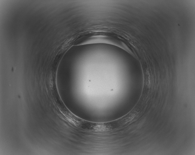 X0000054440562200507291320