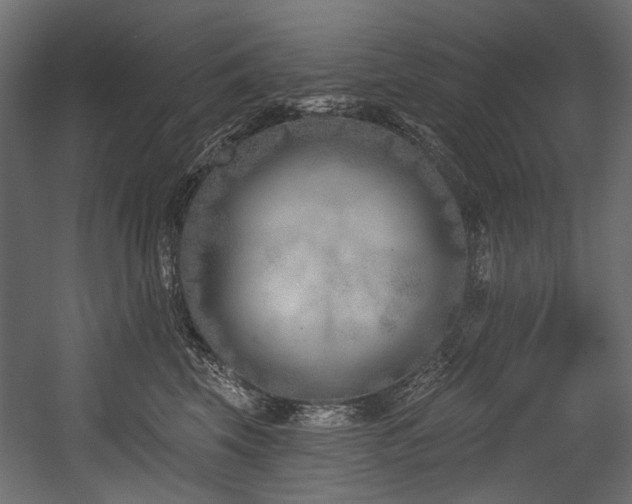 X0000054440569200507291321