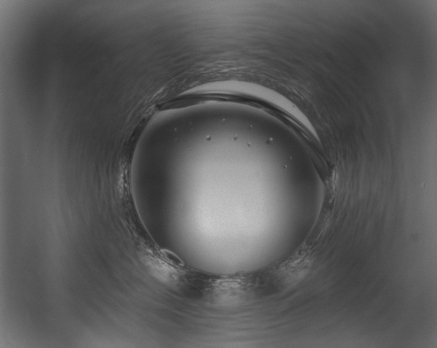 X0000054440574200507291321