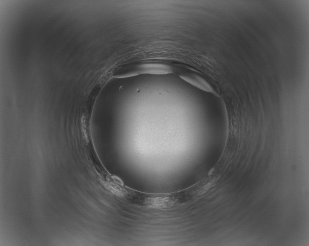 X0000054440575200507291321