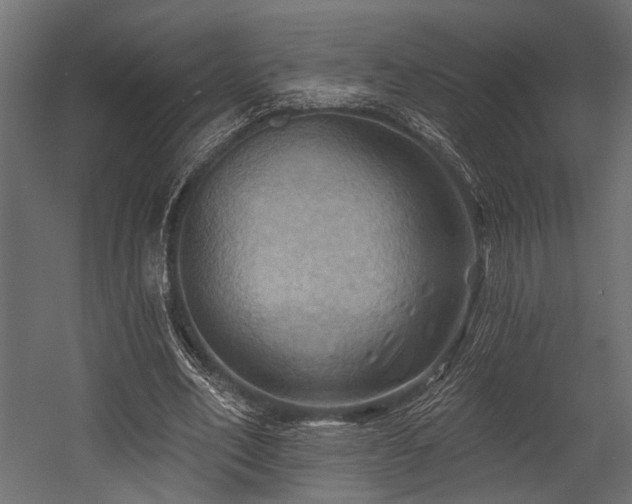 X0000054440582200507291320