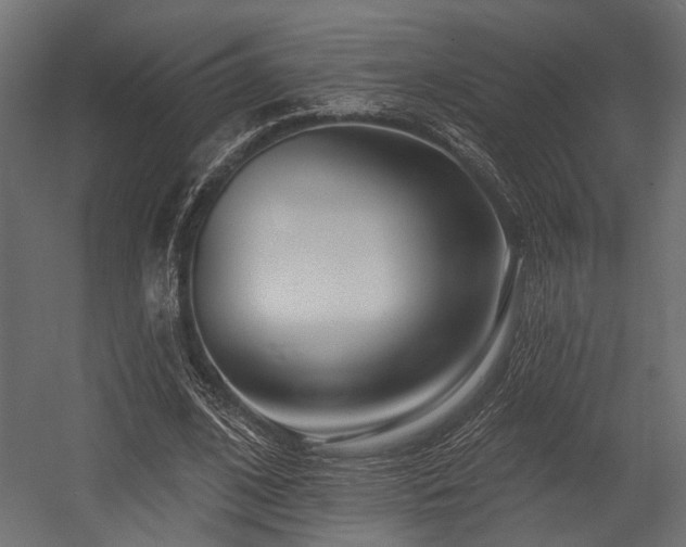 X0000054440584200507291320