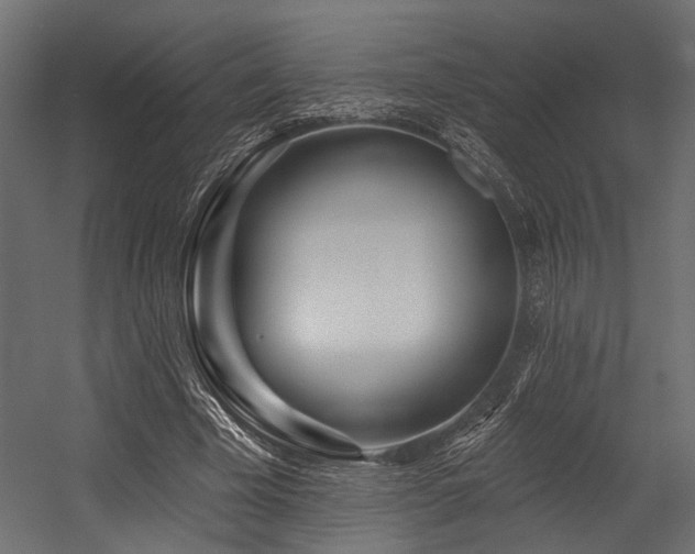 X0000054440585200507291320