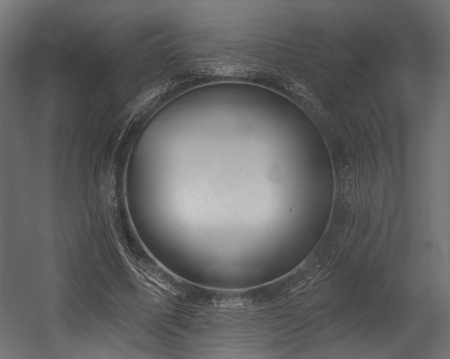 X0000054440587200507291320