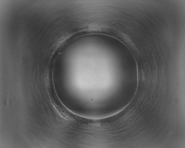 X0000054440588200507291320