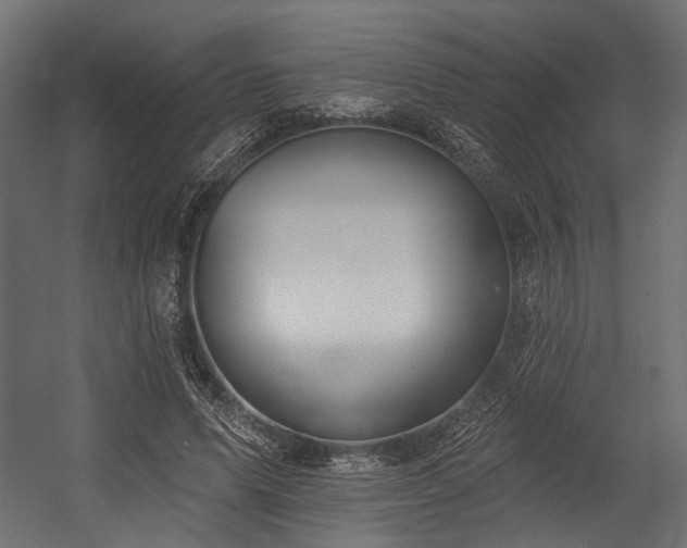 X0000054440591200507291320