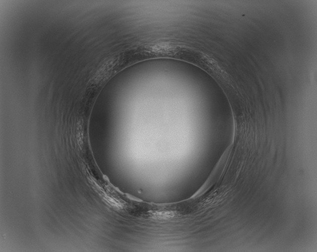 X0000054440593200507291320