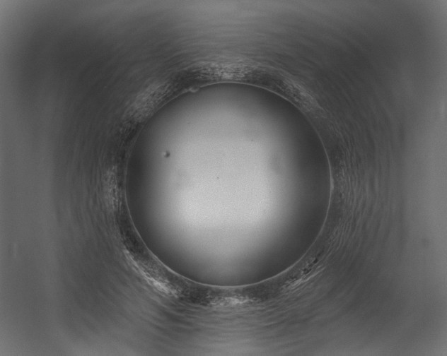 X0000054440594200507291320