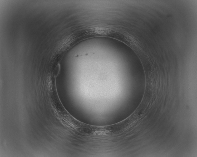 X0000054440595200507291320