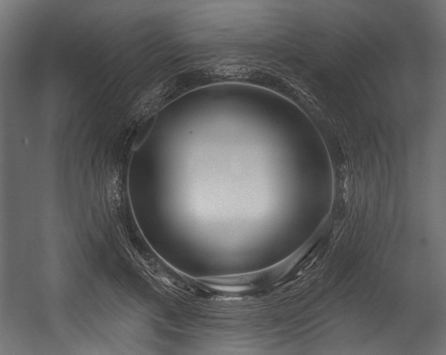 X0000054440597200507291320