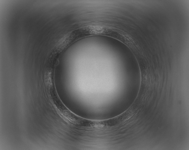 X0000054440598200507291320