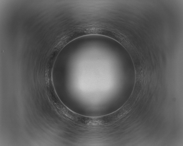 X0000054440599200507291320