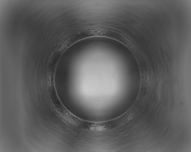 X0000054440602200507291319
