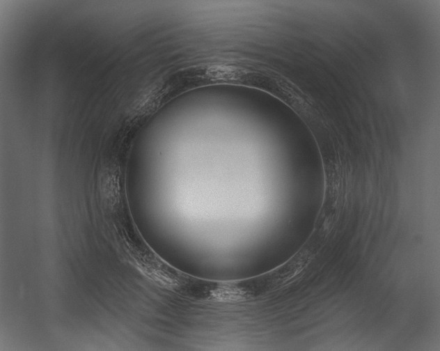 X0000054440603200507291319