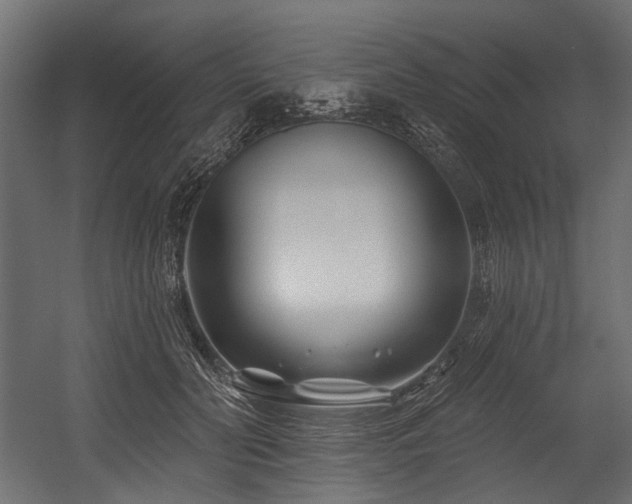 X0000054440606200507291319