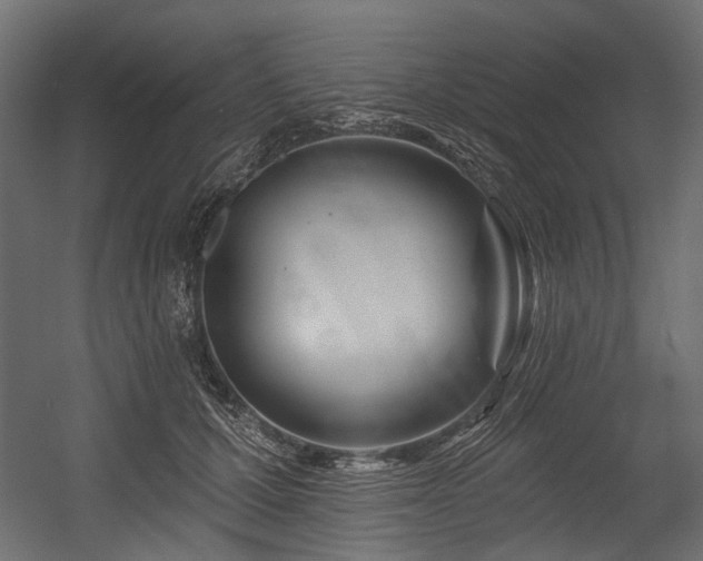 X0000054440607200507291319