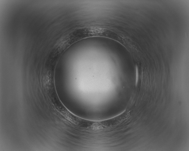 X0000054440608200507291319