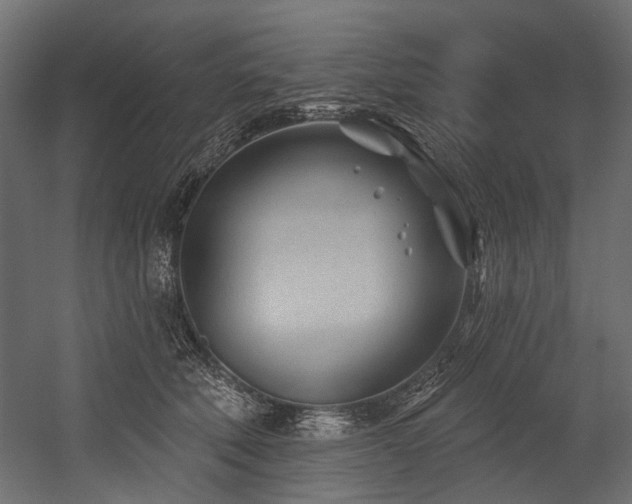 X0000054440610200507291319