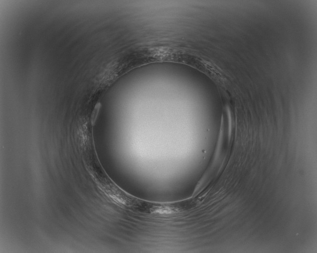 X0000054440611200507291319