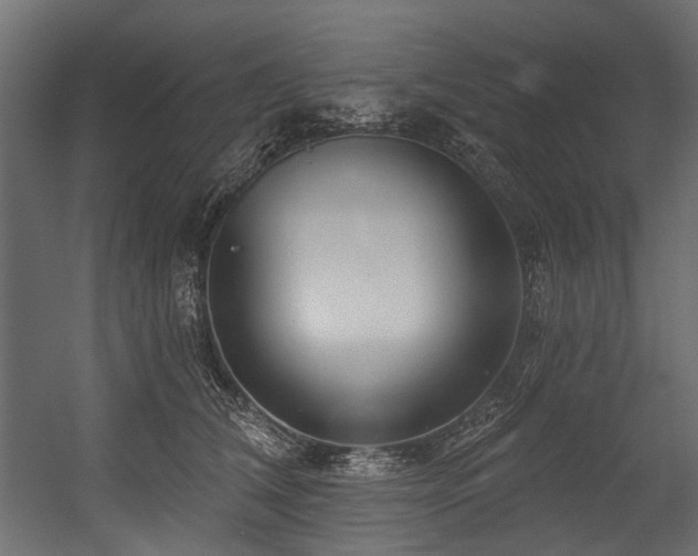 X0000054440612200507291319
