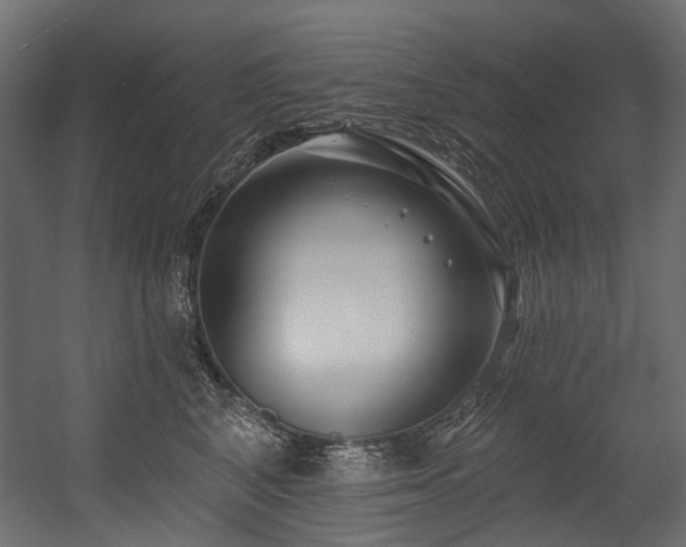 X0000054440616200507291319