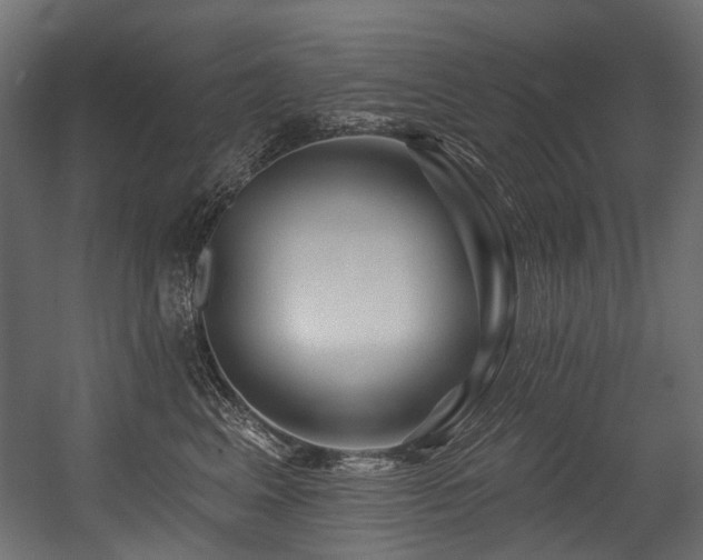 X0000054440617200507291319