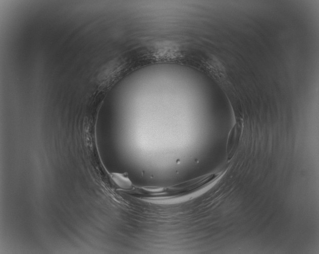 X0000054440619200507291319