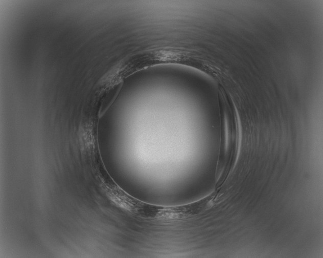 X0000054440620200507291319