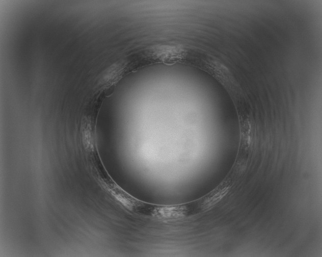X0000054440622200507291319
