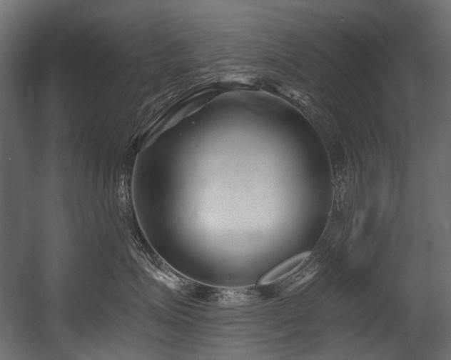 X0000054440623200507291319