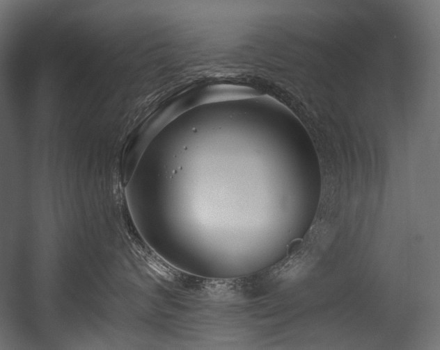 X0000054440624200507291319