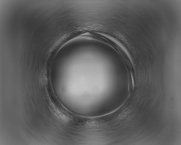 X0000054440634200507291318