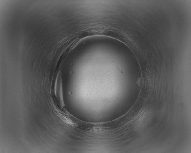X0000054440641200507291319