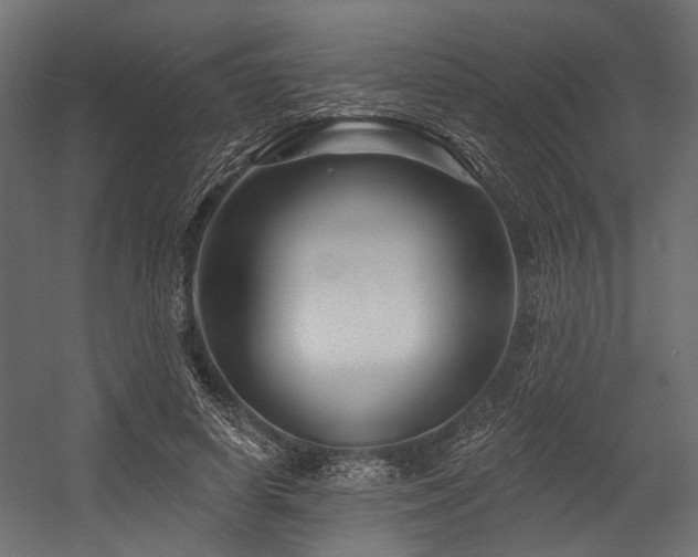 X0000054440642200507291319