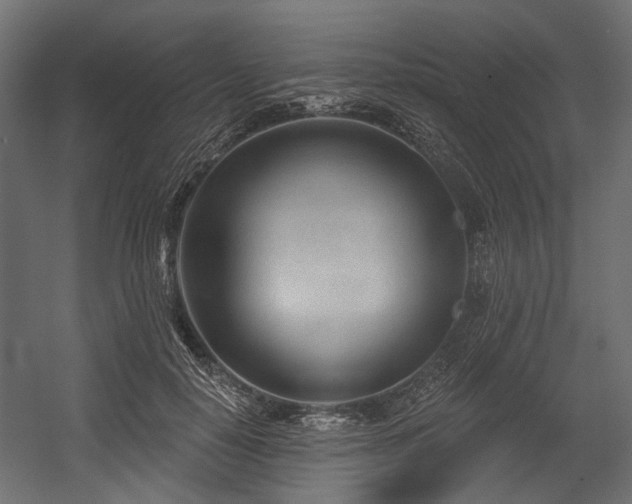 X0000054440650200507291319