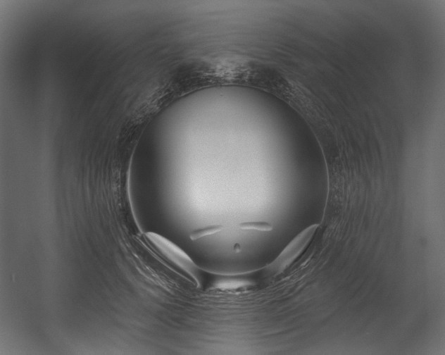 X0000054440656200507291319