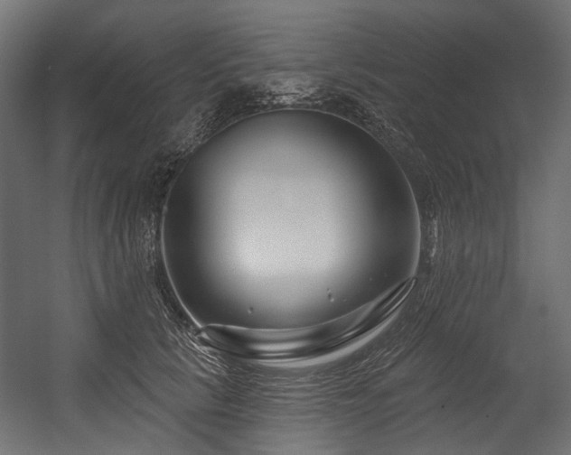 X0000054440657200507291319